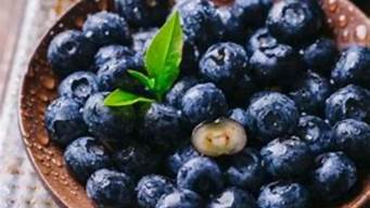 蓝莓可以一天吃一盒吗有什么不好(一次吃一盒蓝莓可以吗)