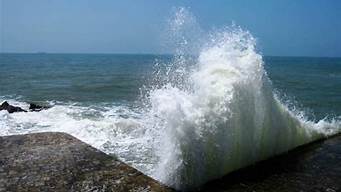 大海每月有几次大涨潮(大海一天几次潮起潮落)