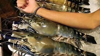 罗氏虾是淡水虾吗原产地(罗氏虾是海水虾还是淡水虾)