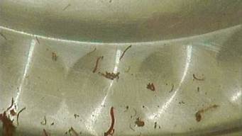 水缸里扭动的小细虫子有害吗(水缸里扭动的小细虫子是什么)
