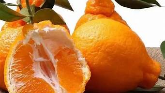 吃丑橘有什么益处和功效(吃丑橘有什么坏处)