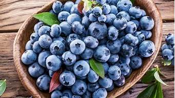 蓝莓多久吃一次对眼睛好(蓝莓坚持吃多久对眼睛好些)