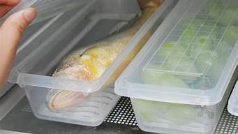鱼放入冰箱冷藏能放多长时间能吃(鱼在冰箱冷藏能放多久)