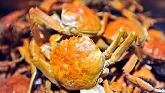 做好的螃蟹能隔夜第二天再吃吗?(隔夜的螃蟹可以在第二天早上再次加温吗为什么)