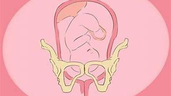 孕晚期入盆后胎动一般踢哪里(头位入盆后胎动一般踢哪里)