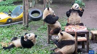 重庆动物园有大熊猫吗(重庆动物园有没有大熊猫)