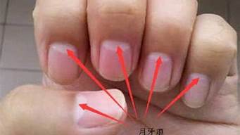 指甲上的月牙代表什么