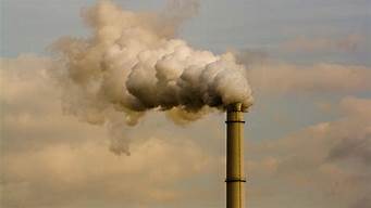 空气污染对人类及动植物的伤害(空气污染对人类及动植物的伤害有多大)
