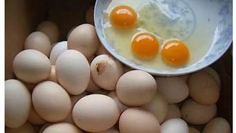 真正土鸡蛋的蛋黄是什么样的(土鸡蛋蛋黄比较黄有没有科学依据)