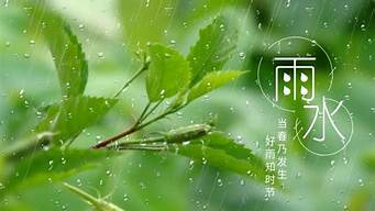雨水季节养生(关于雨水节气的常识)