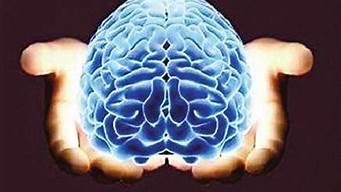 人脑中控制平衡力的是什么(人脑中控制平衡力的是什么?)
