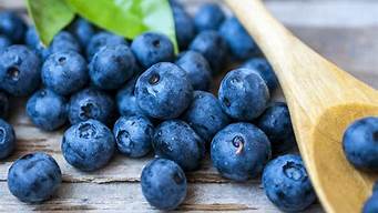 蓝莓的营养价值及功效与作用蓝(你知道蓝莓的功效与作用吗)