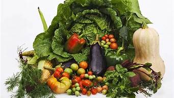 低脂减肥蔬菜有哪些(低热量减肥蔬菜有哪些)