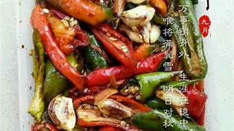 腌辣椒菜做法大全家常窍门(腌制辣椒的做法 最正宗的做法窍门)