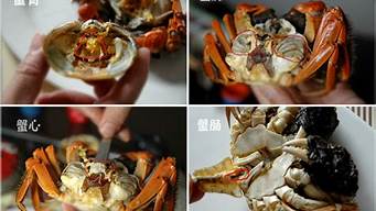 螃蟹里有什么不能吃的(螃蟹里面毛茸茸的是什么,螃蟹哪里不能吃了)