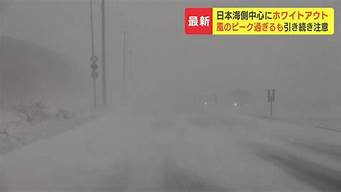 北海道下雪了吗2020(北海道冬天下雪吗)