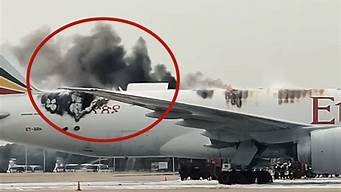浦东机场一飞机起火(刚刚上海浦东机场一架飞机起火)