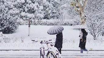 今年武汉会下雪吗?(2020年武汉下过雪吗)