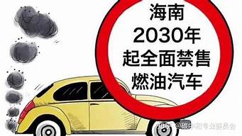海南2030年禁止燃油车(海南新能源汽车充电桩建设规定)