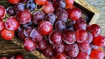 玻璃翠葡萄的营养价值(玻璃翠葡萄百度百科)