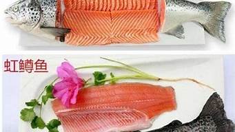 虹鳟鱼和三文鱼吃起来的区别(1,虹鳟鱼可以吃生鱼片吗,3,三文鱼和虹鳟鱼一样吗英文)