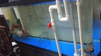 鱼缸不用水泵怎么循环水(鱼缸循环泵可以放在水里吗)