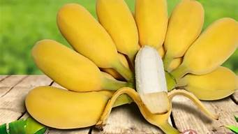 苹果蕉和香蕉哪个营养高(苹果蕉有什么营养价值)