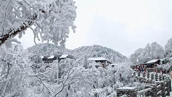 重庆的冬天会下雪吗?(重庆今年冬天会下雪吗)