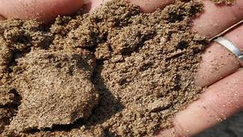 天然砂是指什么(干砂是天然砂还是机制砂)