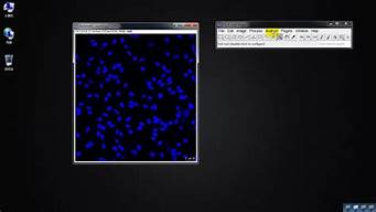 imagej手动计数细胞(image j免疫组化细胞计数)