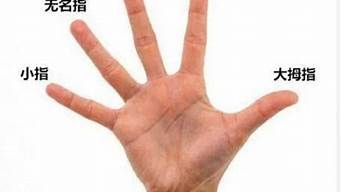 五个手指头分别叫什么(五指代表不同的人生运势!真准!)