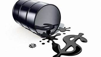 美国石油多少钱一公升(外国石油多少钱一升)