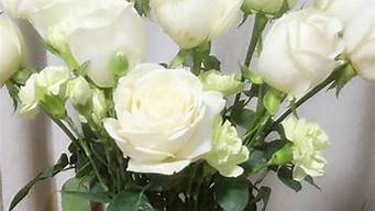 11朵白玫瑰的寓意是什么意思(11朵白玫瑰含义)