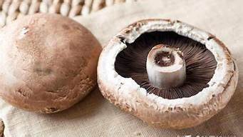 褐蘑菇的做法大全(褐蘑菇怎么吃)
