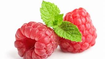 树莓的营养和功效(树莓的功效与作用百度百科)