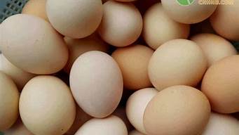 今日鸡蛋最新价格行情走势预测禽病网(今天全国最新鸡蛋价格行情走势预测)