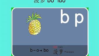 菠萝的拼音怎么读怎么写(菠萝的拼音怎样读)