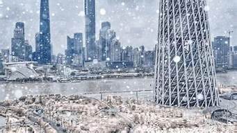 上海2020年会下雪吗?(上海几月份会下雪)