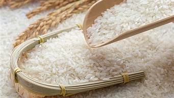 灿米和粳米哪个膳食纤维多(粳米与灿米功能区别)