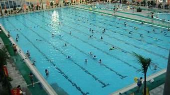 标准游泳池的宽度多少钱一米(标准游泳池尺寸多少)