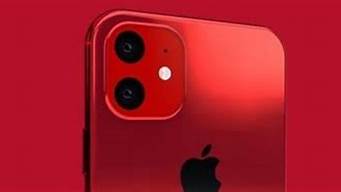 苹果11红色后面的字母的意思是什么呢(苹果11红色后面为什么有字母)