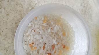 大米中有黄色米粒(黄米与粟米的区别)
