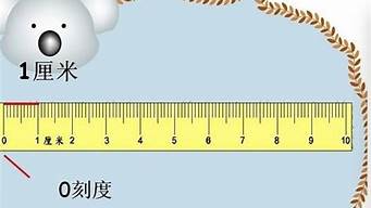 1.6米等于多少厘米单位(单位换算1米等于多少分米)