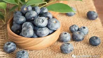 蓝莓有什么营养?(蓝莓都有哪些营养价值)