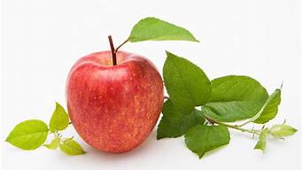 苹果含哪些营养素(苹果都含哪些营养)