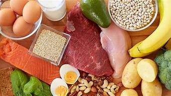 高蛋白高营养食品(高营养高蛋白质)