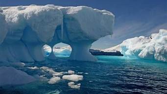 南极的温度有多低(南极的温度一般是多少)