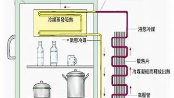 冰箱保鲜室制冷原理(冰箱保鲜原理视频)