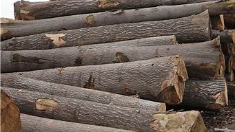 桐木是什么木材（桐木的特性与用途）