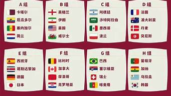 世界杯亚洲一共几个名额(世界杯亚洲有几个队伍)